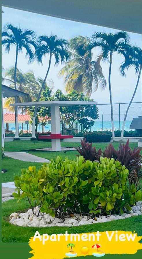 Isla Verde Frente A La Playa Y Piscina, Centrico Y Accesible San Juan Luaran gambar
